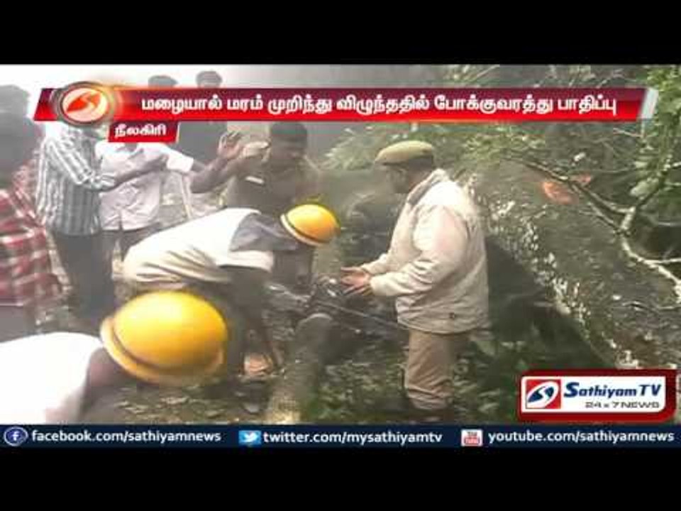 Nilgiris : Rain waterlogged the roads, transportation affected