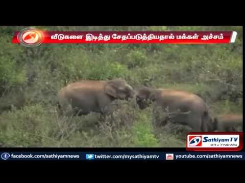 Nilgiris : Forest elephants enters residential area, fears locals