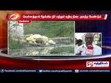 Thirunelveli : People urge to drain flood and drainage water