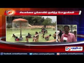 Pongal celebrated joyfully in Tanjore