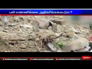 16 killed in landslide in Arunachal Pradesh