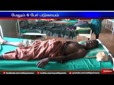 3 died as lorry rams bullock cart