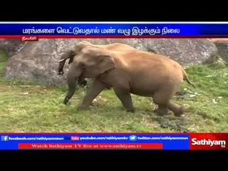 Nilgiris : Wild elephant resides in residential area