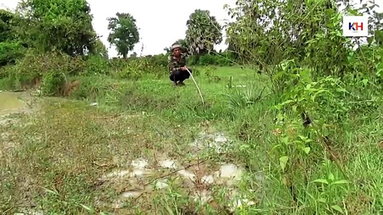 Catch_mud_Fishing_trap_in_Cambodia-_Catch_Fish_by_Duck-_Cast_net_fishing_in_Camb