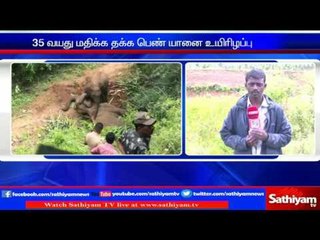 Baby elephant rolls over mother after seeing her dead. Must watch!