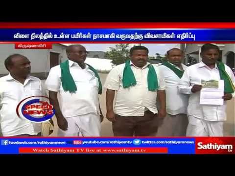 Farmers oppose on destroying crops and building electrical tower on it