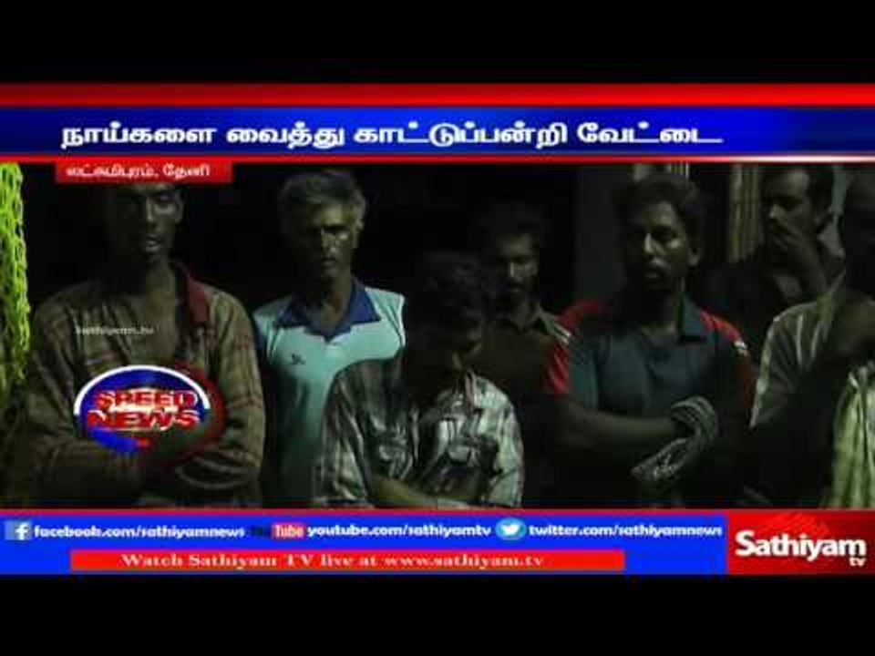 Theni : Eight arrested of hunting wild pigs with help of dogs