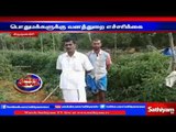 Residents are requested to stay home at night: Elephants enters inhabitants. | Sathiyam TV