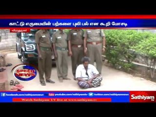 Virudhunagar : Man tried to sell wild buffalo’s teeth as Tiger’s, arrested | Sathiyam TV News
