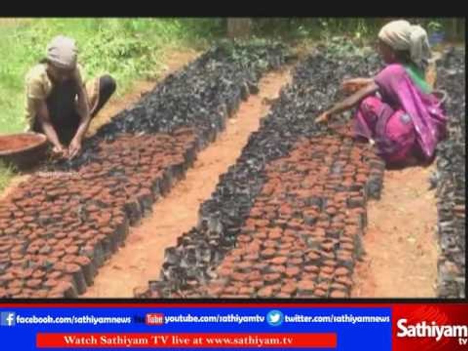 To protect environment, trees are planted - Ariyalur tree story