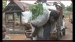 Students enjoying to work in vegetable markets in karaikudi : Sivagangai students story