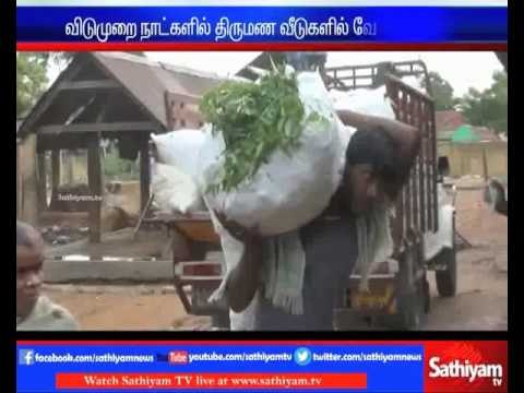 Students enjoying to work in vegetable markets in karaikudi : Sivagangai students story