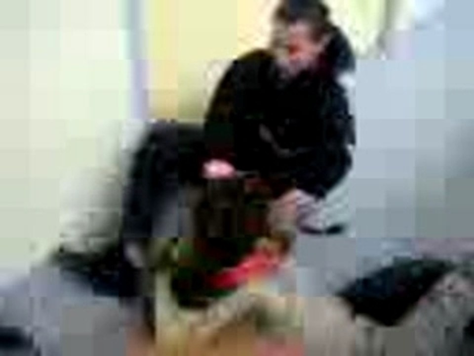 Video-0041
