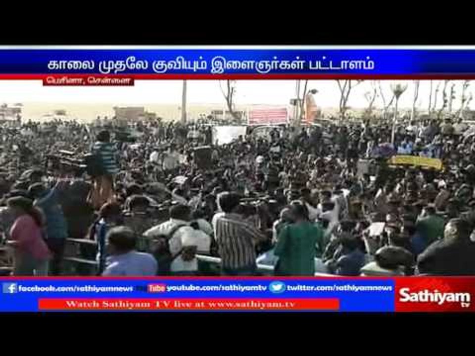 Struggle continues until Jallikattu conducted - Crowds gathered in Chennai Marina