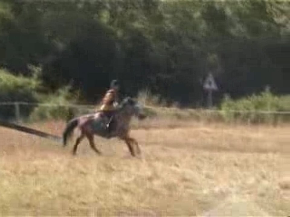 cross, moi et Kenzo, 2002