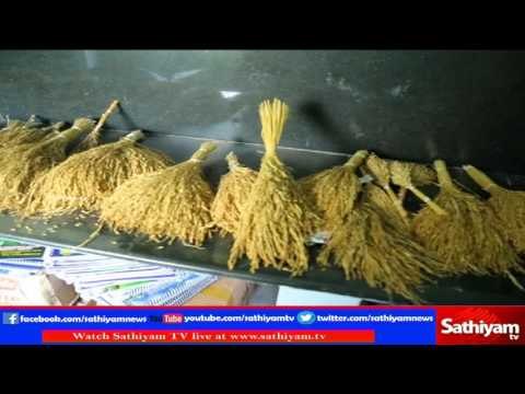 Vidiyal Puthusu : Mr.Nel Jeyaraman explains about Traditional rice varities | 03.03.17