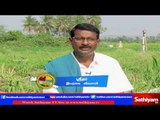 Vidiyal Puthusu : Farmer Sridhar speaks about organic farming | 1.03.17