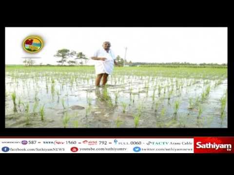 Vidiyal Puthusu : ”Ponnuraman “about Healthy food | 13.04.17