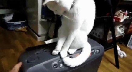 30 SANIYELIK WHATSAPP DURUMU _ YAPILMASINI ISTEMIYORUM AMA YAPIYORSUN YETER %21%21%21 _