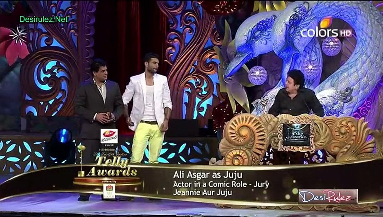 Indian Telly Awards 2013 25th May 2013 Part2