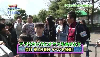 このへん！！トラベラー名古屋「東山動植物園②編」 （） 2012.05.22