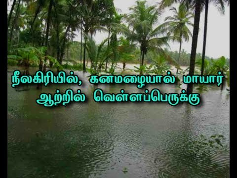 Due to Heavy rainfall in Nilgiris, flood has occurred after three years in Mayar River