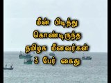 3 Tamil Nadu Fishermen who caught Fish near Neduntheevu were arrested by Sri Lanka Navy