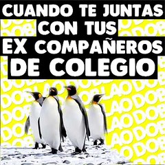 COPETE COPETE COPETE COPETE 