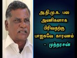 BJP responsible for ADMK divided into teams - Communist Party of India State Secretary Mutharasan