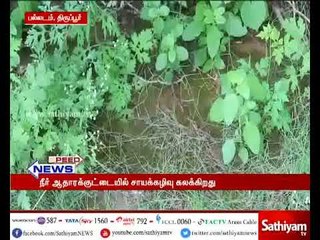 Tiruppur: Dye waste mixes with drinking water pond, risk of infections