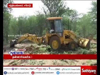 சத்தியமங்கலம் புலிகள் காப்பகத்தில் சீமைக்கருவேல மரங்களை அகற்ற, தன்னார்வலர்களுக்கு அழைப்பு