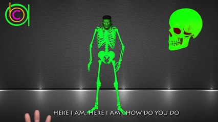 Skeleton Wrong Heads Superhero Wrong Bodies SUPERMAN BATMAN SPIDERMAN Crazy Skeleton Finge