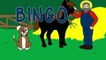 BINGO THE DOG Childrens Songs Nursery Rhymes Bingo Song Bingo Dog Song Babies Toddlers by