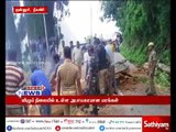 Nilgiris: Disposal of trees which are about to fall