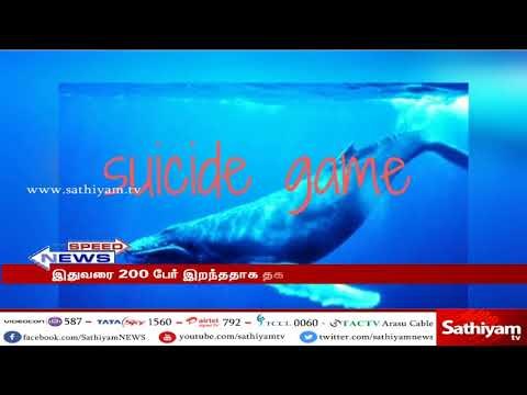 Supreme court sends notice to central government to answer regarding Blue whale case