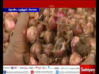 Coimbatore: No storage space for onions, risk of onions Rotting