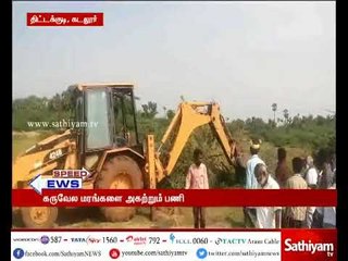 கடலூர்: கருவேல மரங்கள் அகற்றும் பணி,  பொதுமக்கள் மற்றும் இளைஞர்கள் பங்கேற்பு