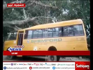 கிருஷ்ணகிரி: பள்ளி பேருந்தின் மீது மரம் விழுந்ததில் மாணவிகள் காயம்