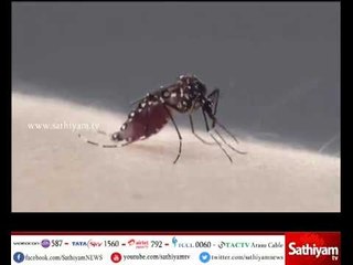 கிருஷ்ணகிரியில் நேற்று ஒரே நாளில் டெங்கு காய்ச்சலுக்கு 2 பள்ளி மாணவர்கள் உயிரிழப்பு