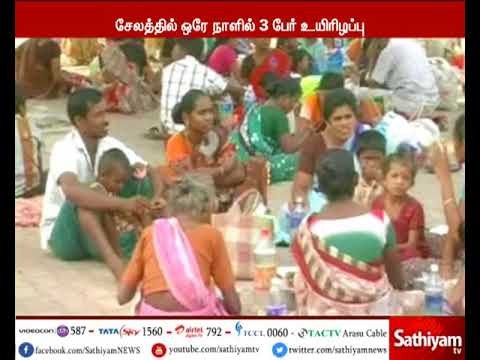 சேலத்தில் டெங்கு காய்ச்சலுக்கு ஒரே நாளில் 3 பேர் பலி