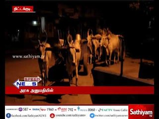 அரசு அனுமதியின்றி மணல் அள்ளிய 15 மாட்டு வண்டிகள் பறிமுதல்