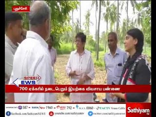 புதுச்சேரியில் 700 ஏக்கரில் இயற்கை விவசாய பண்ணை : துணைநிலை ஆளுநர் கிரண்பேடி பார்வையிட்டார்