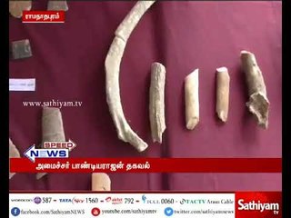 தமிழகத்தில் 21 கோடி ரூபாய் மதிப்பில்  புதிய அருங்காட்சியகம் - அமைச்சர் பாண்டியராஜன்