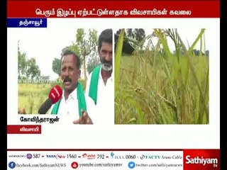 தத்தளிக்கும் தஞ்சை- களத்தில் நமது செய்தியாளர் அலெக்சாண்டர் தரும்  தகவல்