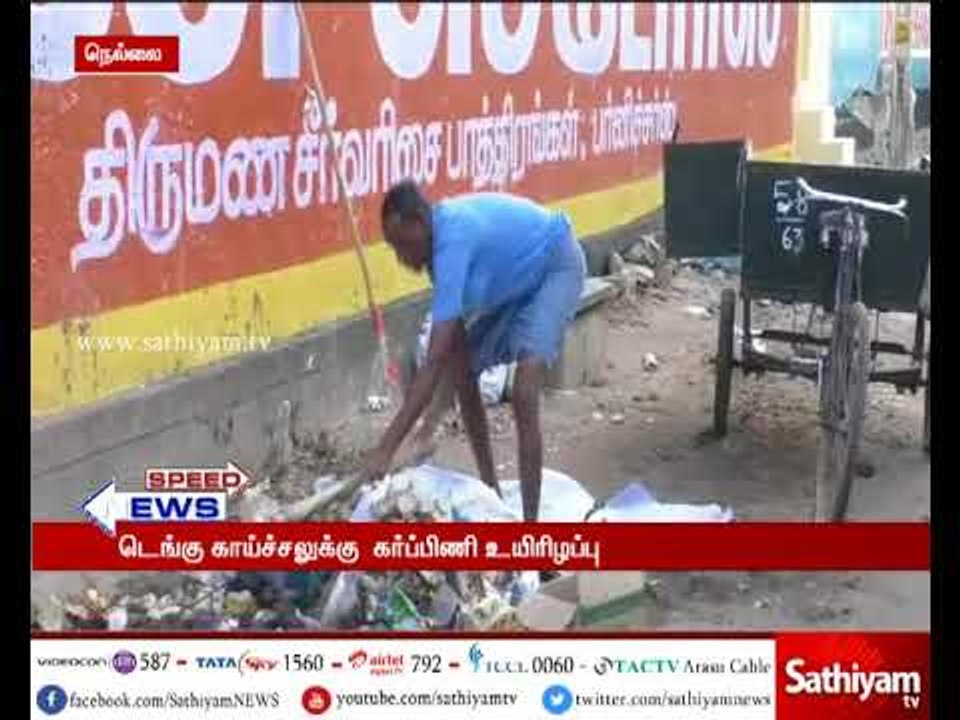 நெல்லை அருகே டெங்கு காய்ச்சலுக்கு கர்ப்பிணி பெண் உயிரிழப்பு