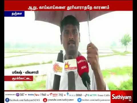 தஞ்சையில் தொடர் மழையால் சம்பா பயிர்கள் வெள்ளத்தில் மூழ்கிய சம்பா பயிர்கள் - விவசாயிகள் வேதனை