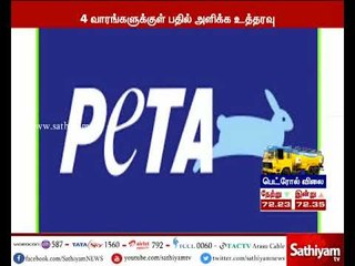 ஜல்லிக்கட்டுக்கு 'பீட்டா' மனு - 4 வாரங்களுக்குள் பதில் அளிக்குமாறு  தமிழக அரசுக்கு நோட்டீஸ்