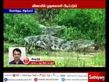 ராட்சத முதலைகளை பிடிக்க வனத்துறை சார்பில் குழு அமைக்கப்பட்டுள்ளது - கடலூர் மாவட்ட ஆட்சியர்