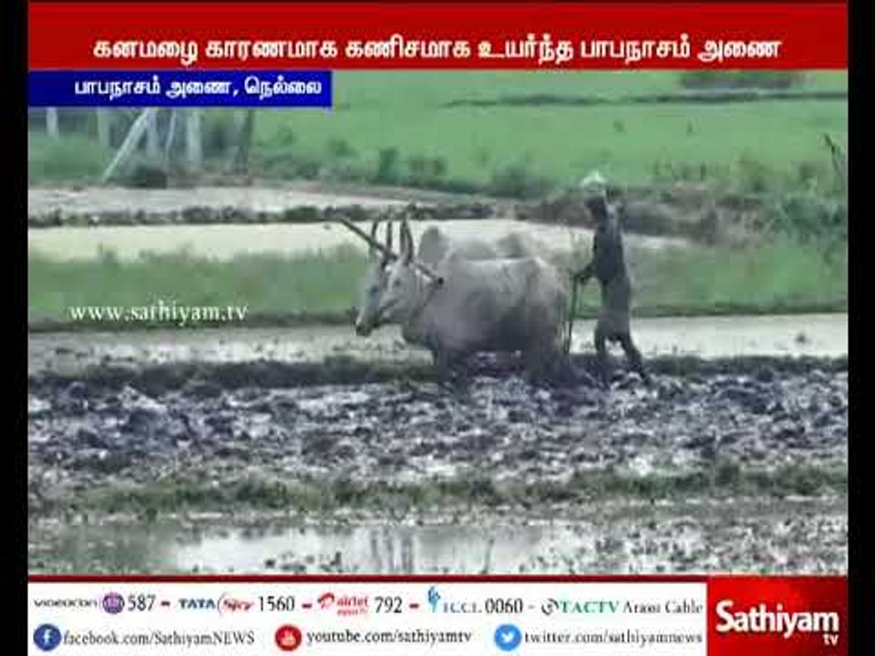 நெல்லை : 2 ஆண்டுகளுக்கு பின் 100 அடியை எட்டியது பாபநாசம் அணை