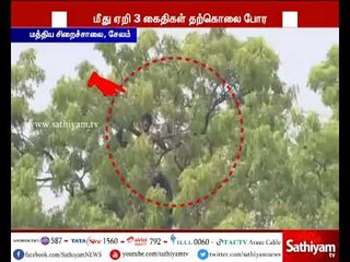 சேலம் மத்திய சிறைச்சாலையில் மரத்தின் மீது ஏறி கைதிகள் தற்கொலை போராட்டத்தில் ஈடுபட்டுள்ளனர்